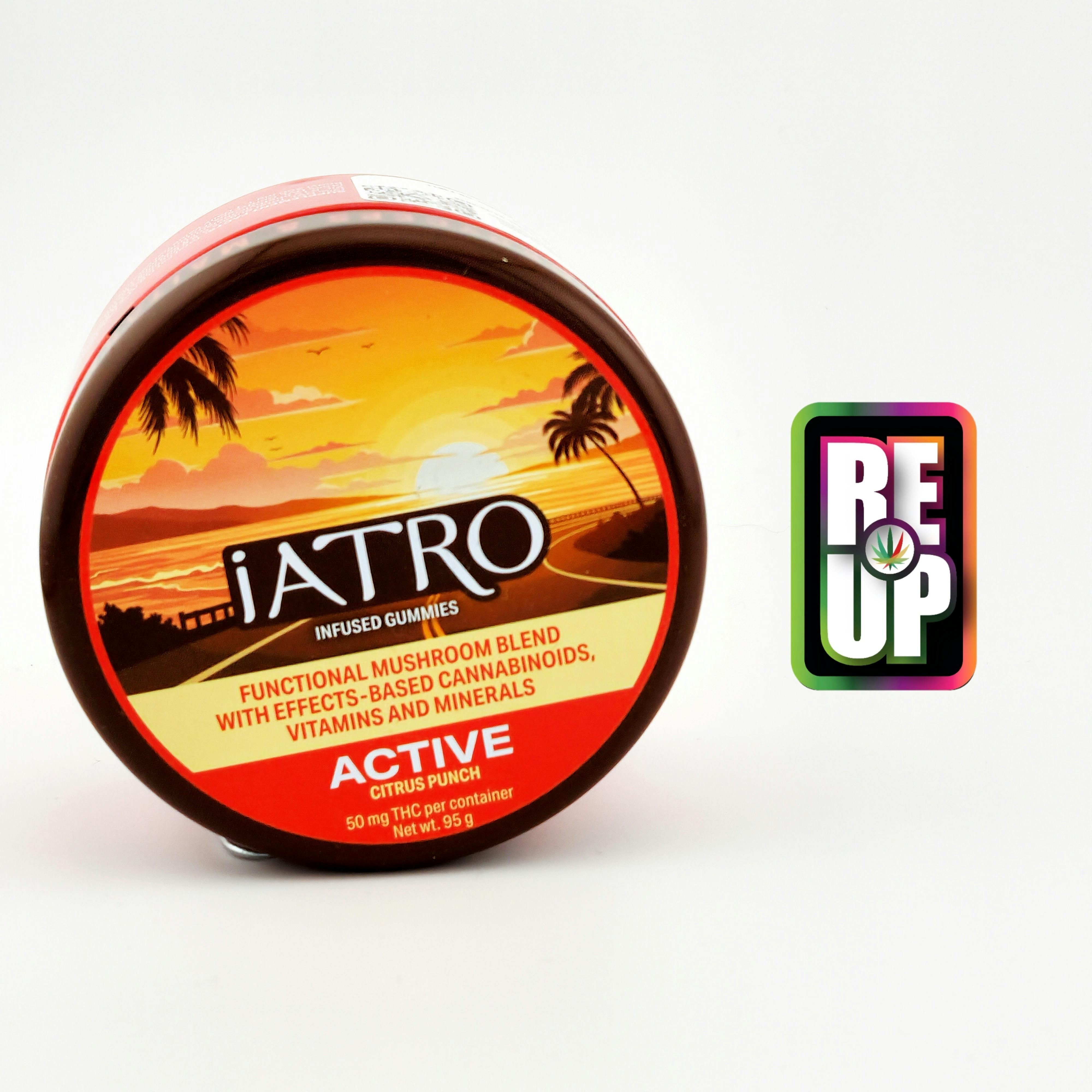 Atro Mushroom Blend Gummies - Active Citrus Punch
