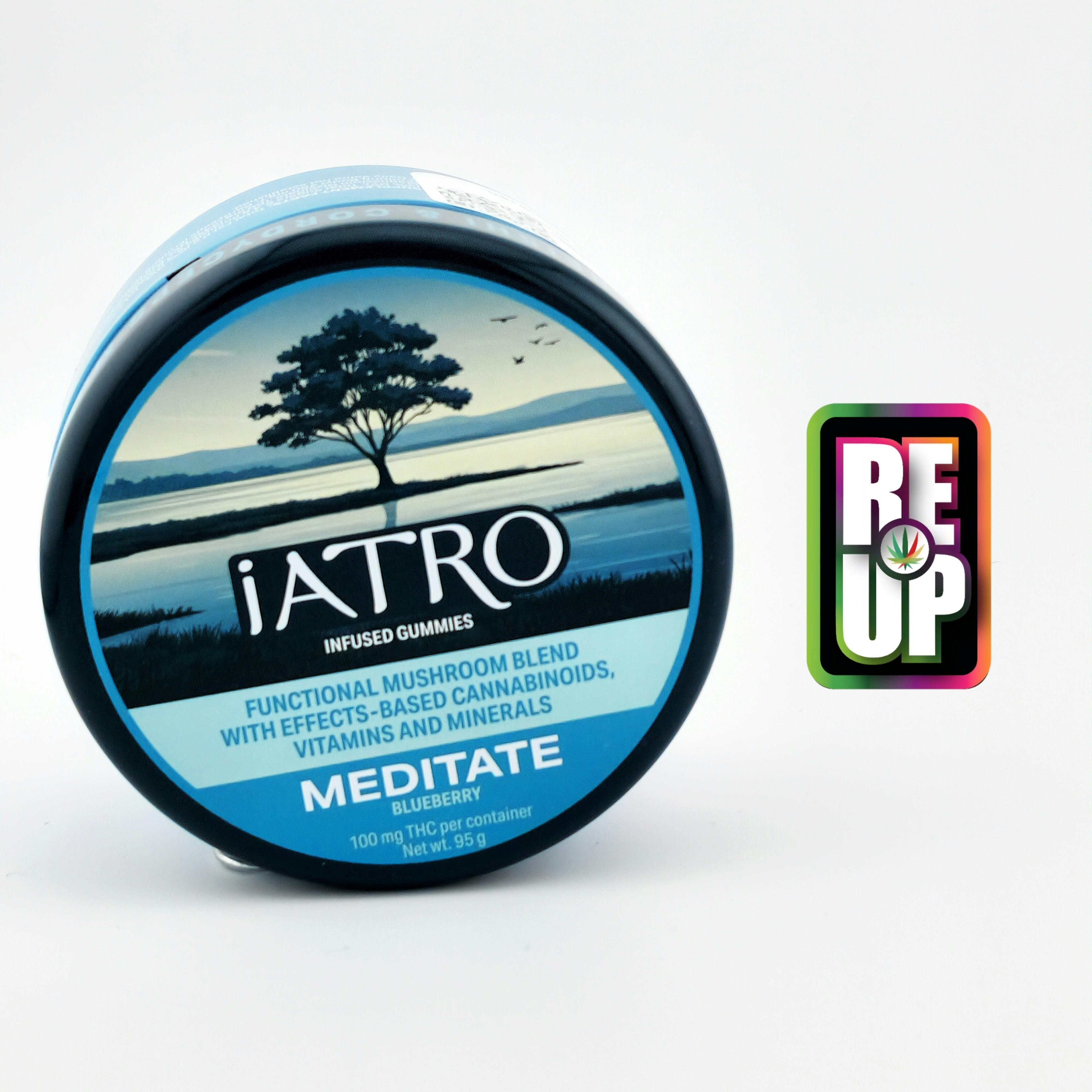 Atro Mushroom Blend Gummies - Meditate Blueberry