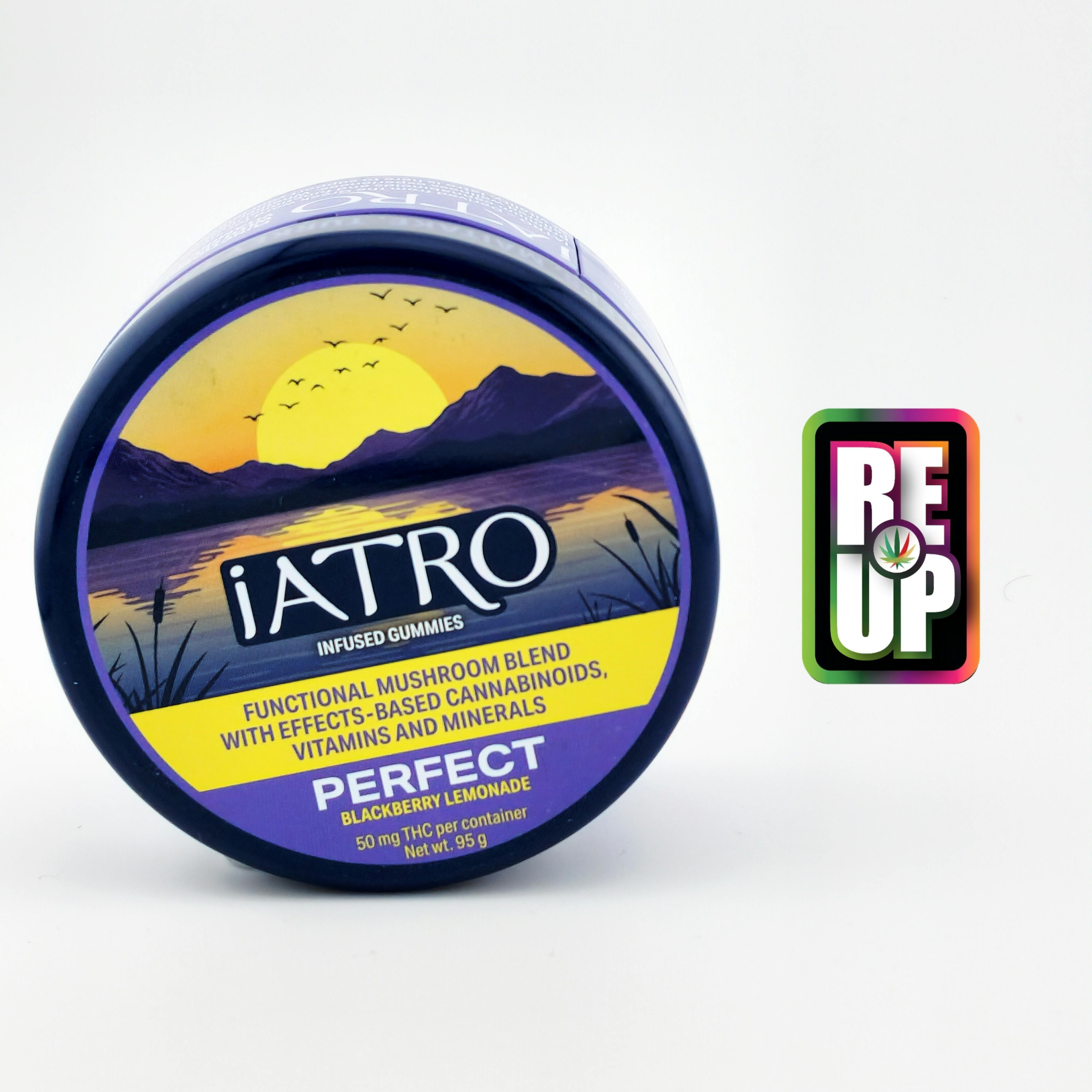 Atro Mushroom Blend Gummies - Perfect Blackberry Lemonade