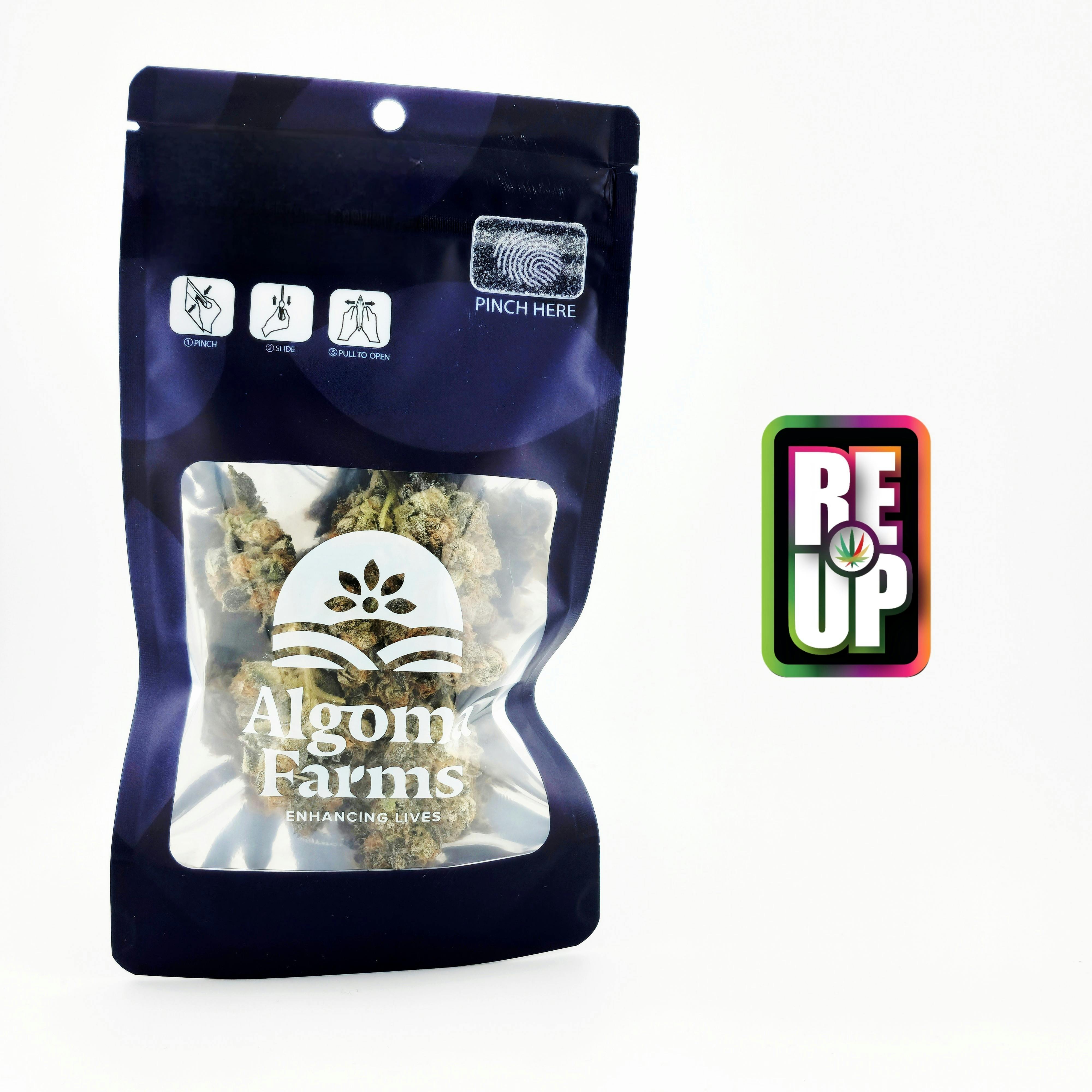 Algoma 7g Pre-Pack - Hella Slumped