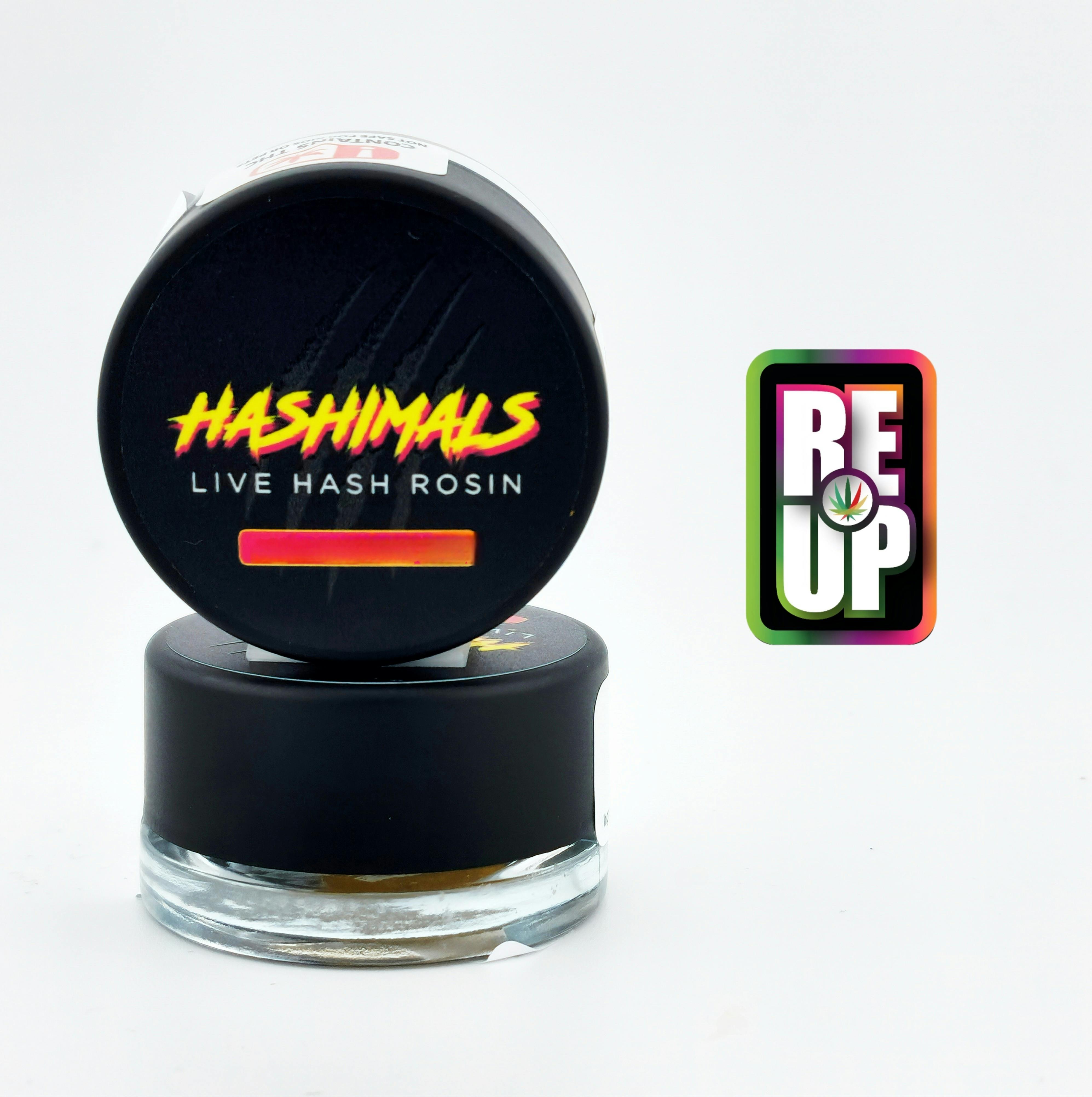 Tribe 1.5g Hashimals - Bear (Super Boof)