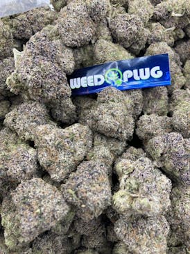 14G LEMON CHERRY GELATO TOP SHELF/EXOTIC