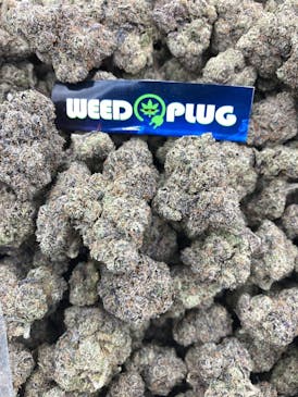 14G BILLIONAIRES RUNTZ TOP SHELF/EXOTIC