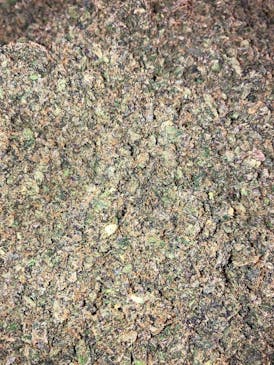 4g EXOTIC FLOWER SHAKE NO STEMS PERFECT FOR JOINTS