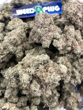 14G GORILLA GLUE