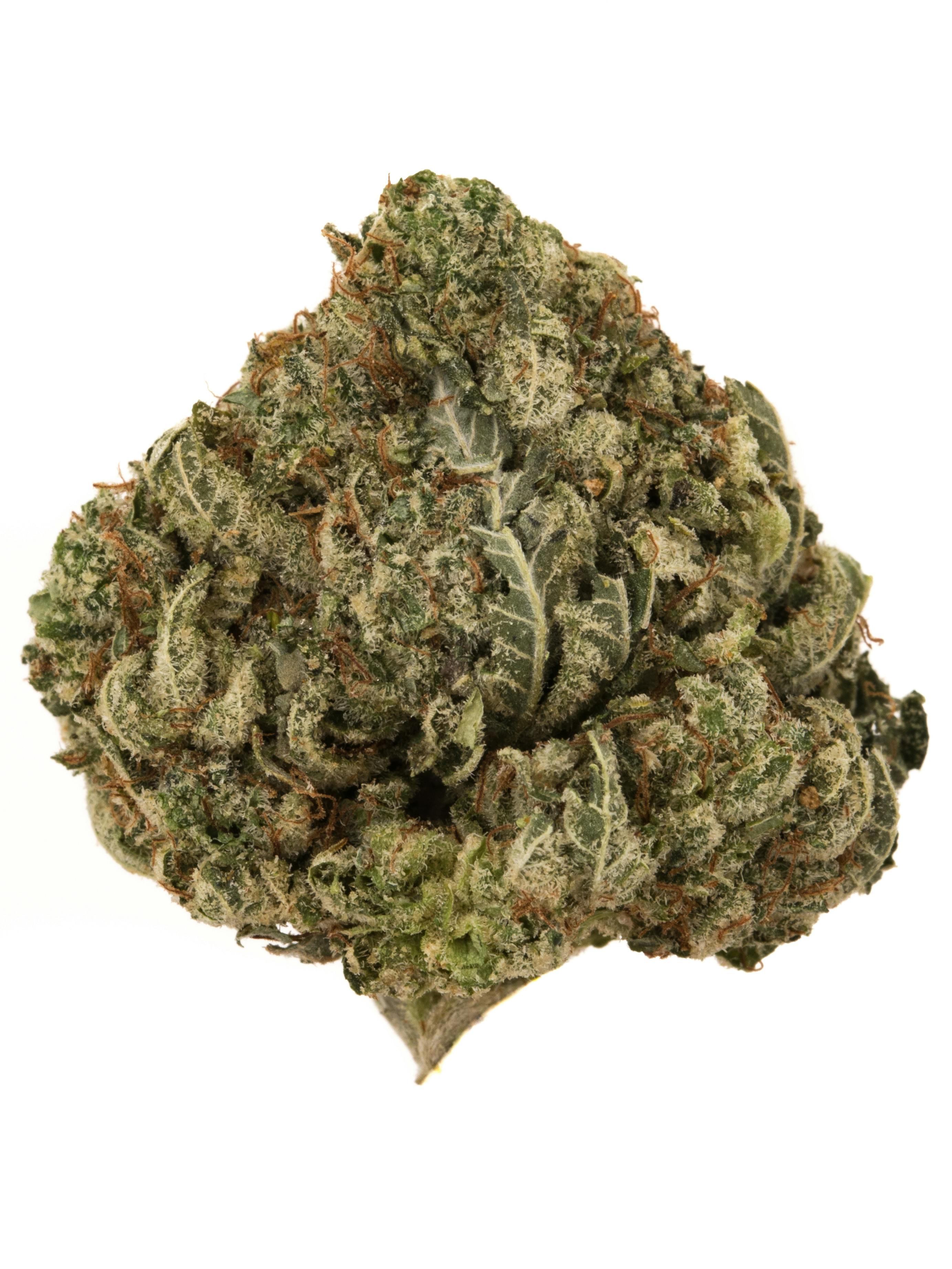 original glue: Eighth