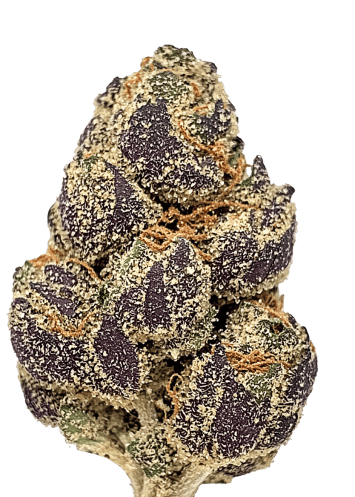 BUZZNUG: Black Cherry Runtz