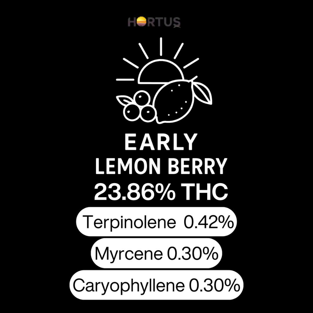 Early Lemon Berry
