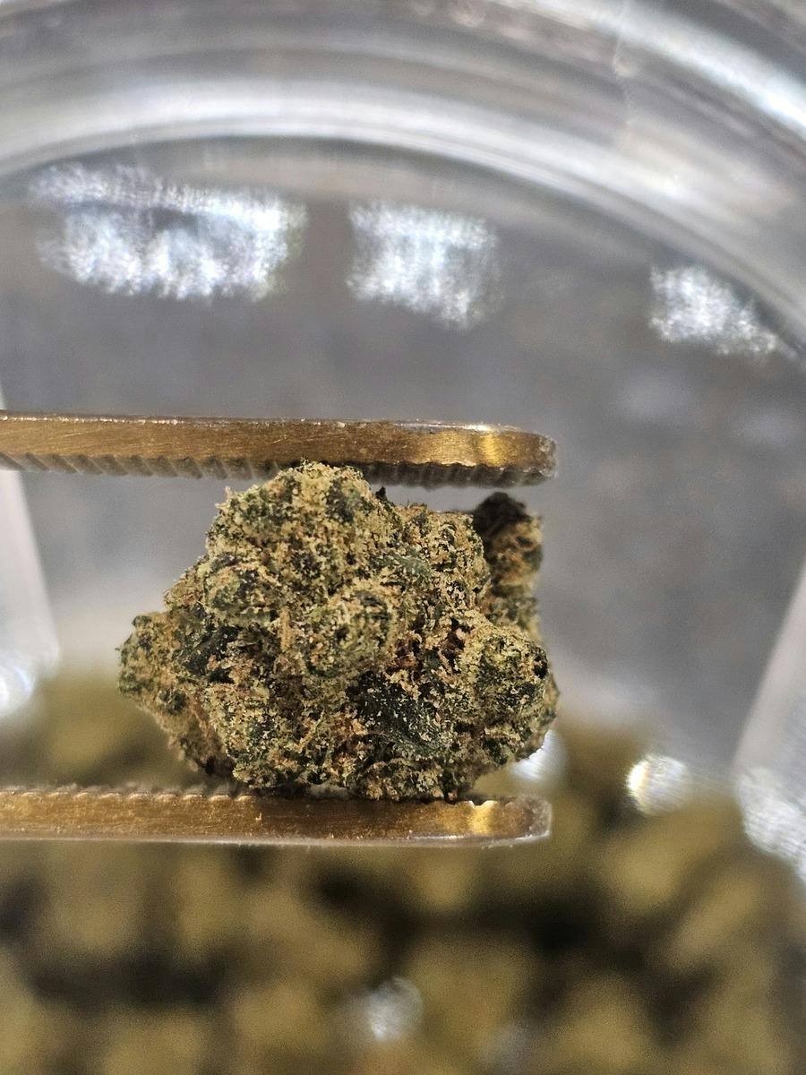 Platinum- Garlic Sherbet (Gatsby Holding) - Loose