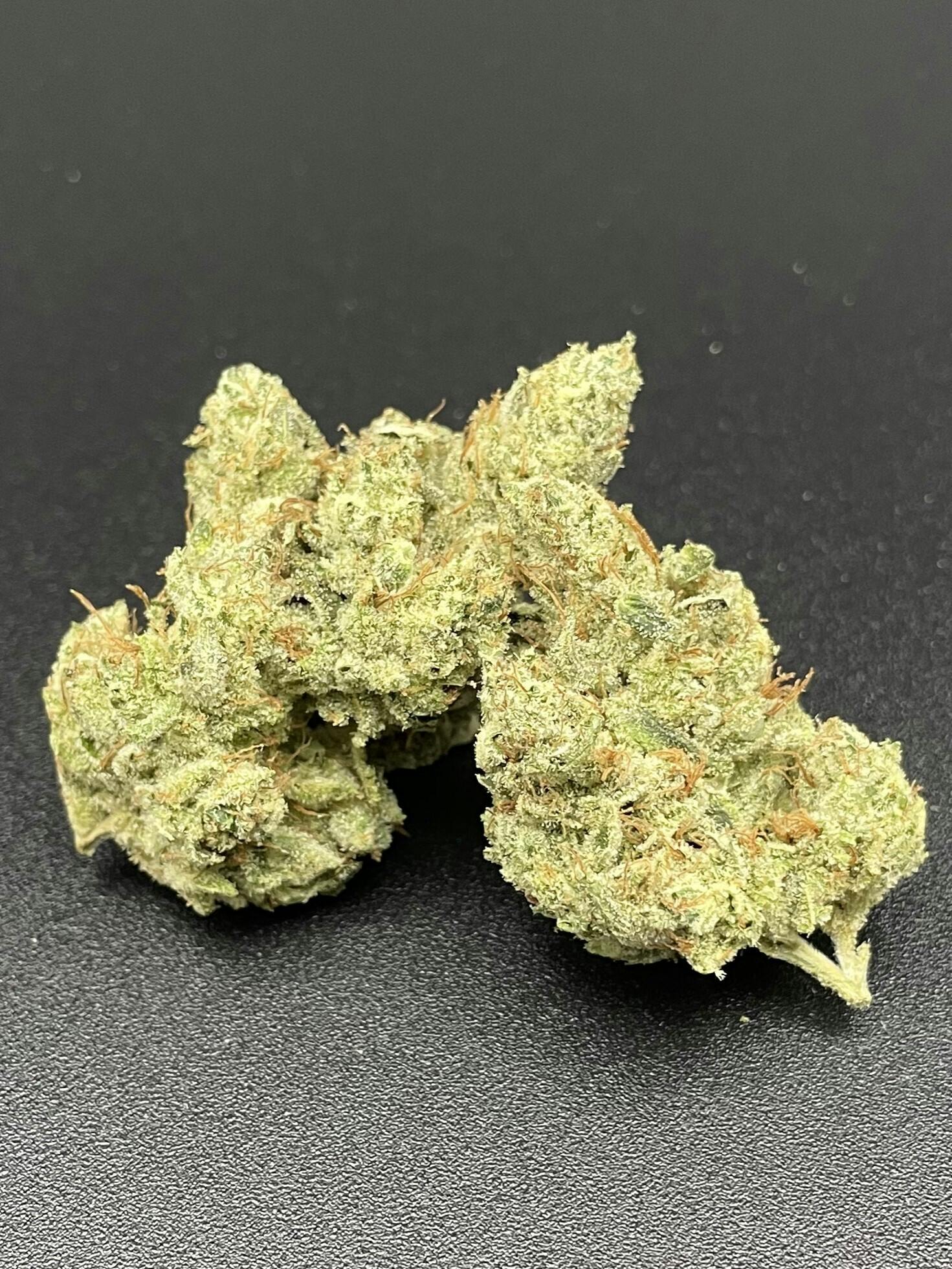 GG #4 by Zenoa