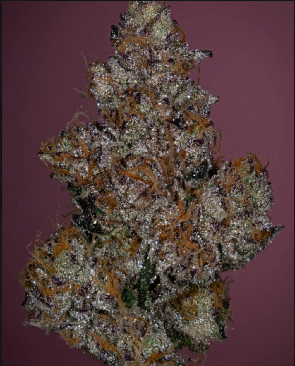 (Thicc) Sleepy Joe Exotic 3.5g Pre-Pack