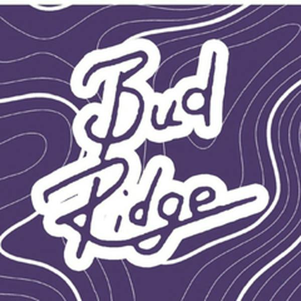 Budridge | Ice Cream Runtz | 3.5
