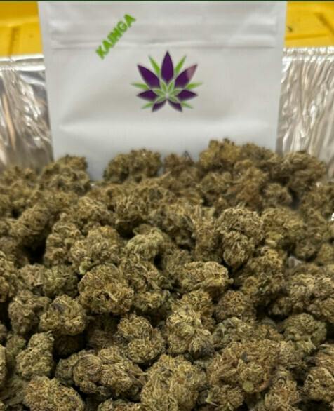 Kainga | BlueBerry Bars | 7G
