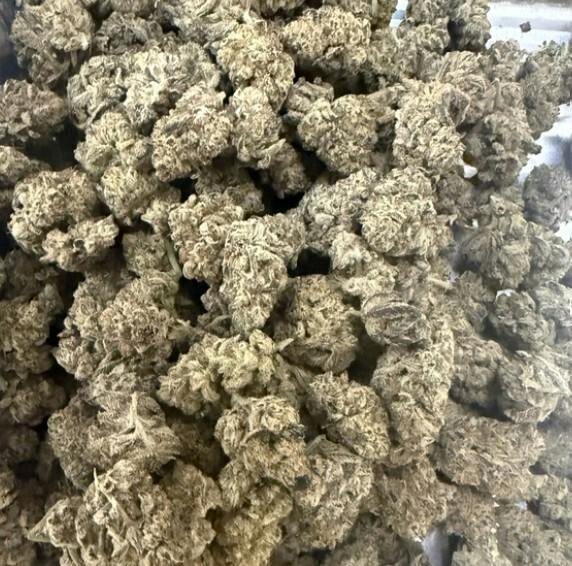 Kainga | Pure Fire | 7G