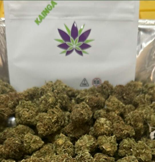 Kainga | LFG | 7G