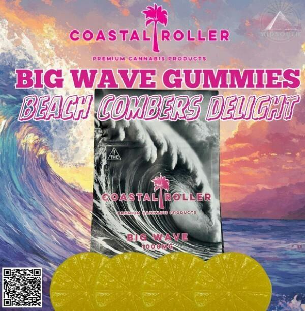 Big Wave Beach Combers Delight