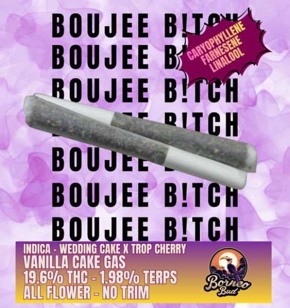 Borneo Bud Boujee B Tch Pr