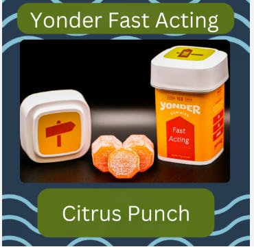 Yonder | Citrus Punch | 200mg Fast-Acting Gummies 10pk by Yonder