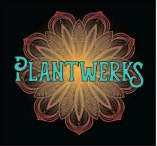Plantwerks | 3.5g | Orange Cookie Chem at DABBS Cannabis Dispensary