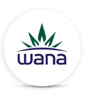 Dream Berry - Stay Asleep [10 pack] by Wana Edibles