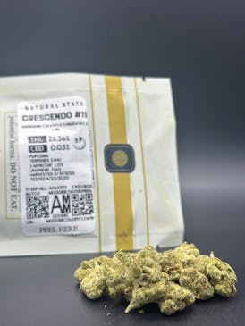 *$25 Flower Strain* Crescendo #11, 26.36% THC - NSM