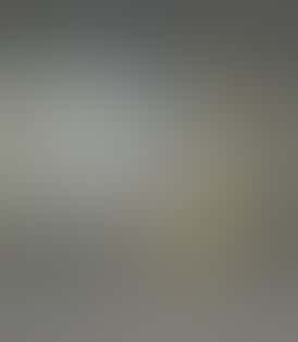 *$30 Flower Strain* Skunk Shocker, 25.37% THC - NSM