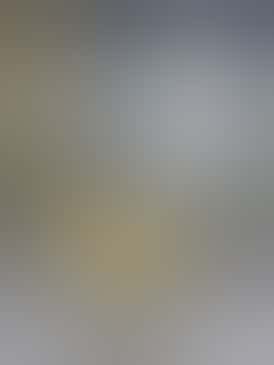 *$30 Flower Strain* Mac n' Jack, 22.54% THC - NSM