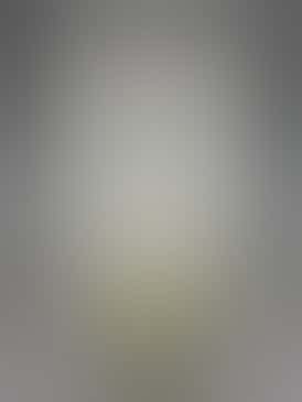 *$30 Flower Strain* Blue Dream, 21.08% THC - BOLD