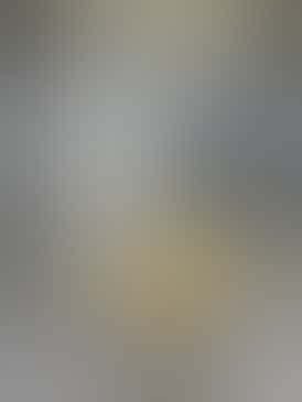 *$30 Flower Strain* Mountain Goat 25.63% THC - NSM