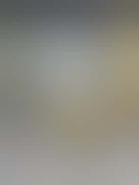 *$30 Flower Strain* Mandarin Cookies, 27.94% THC - NSM