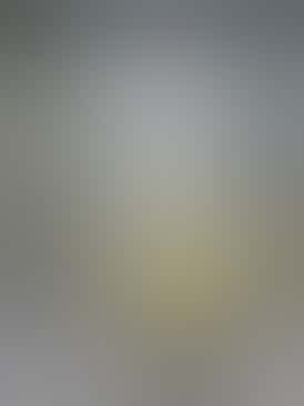 *$25 Flower Strain* DogTown, 27.05% THC - NSM