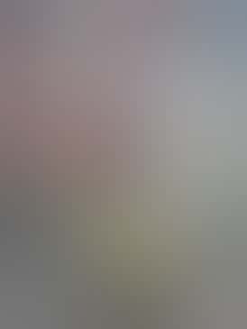 *$30 Flower Strain* Blackwater, 29.19% THC - NSM