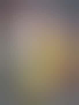 *$30 Flower Strain* Crescendo #11, 29.5% THC - NSM