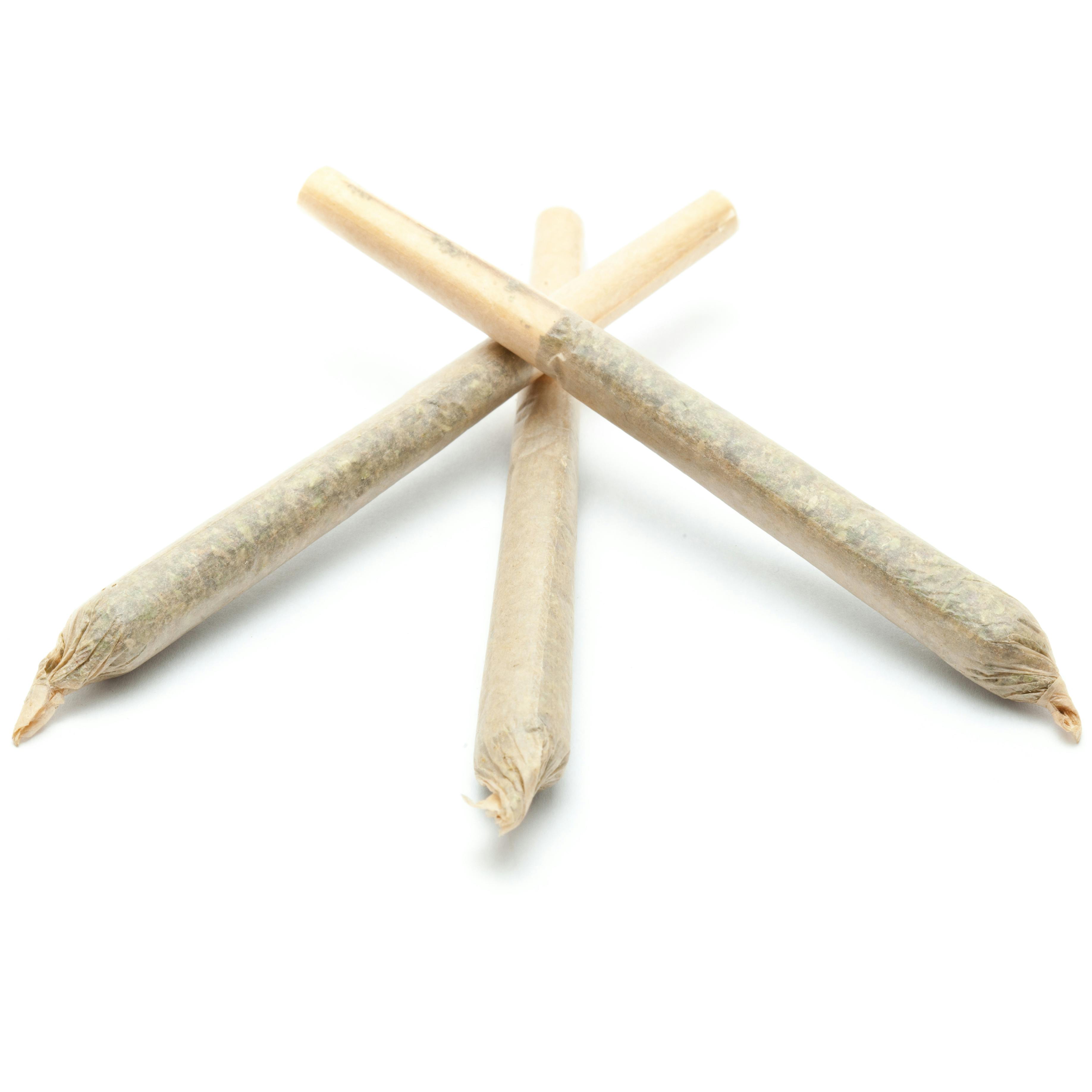 Blueberry Silvertip pre-roll