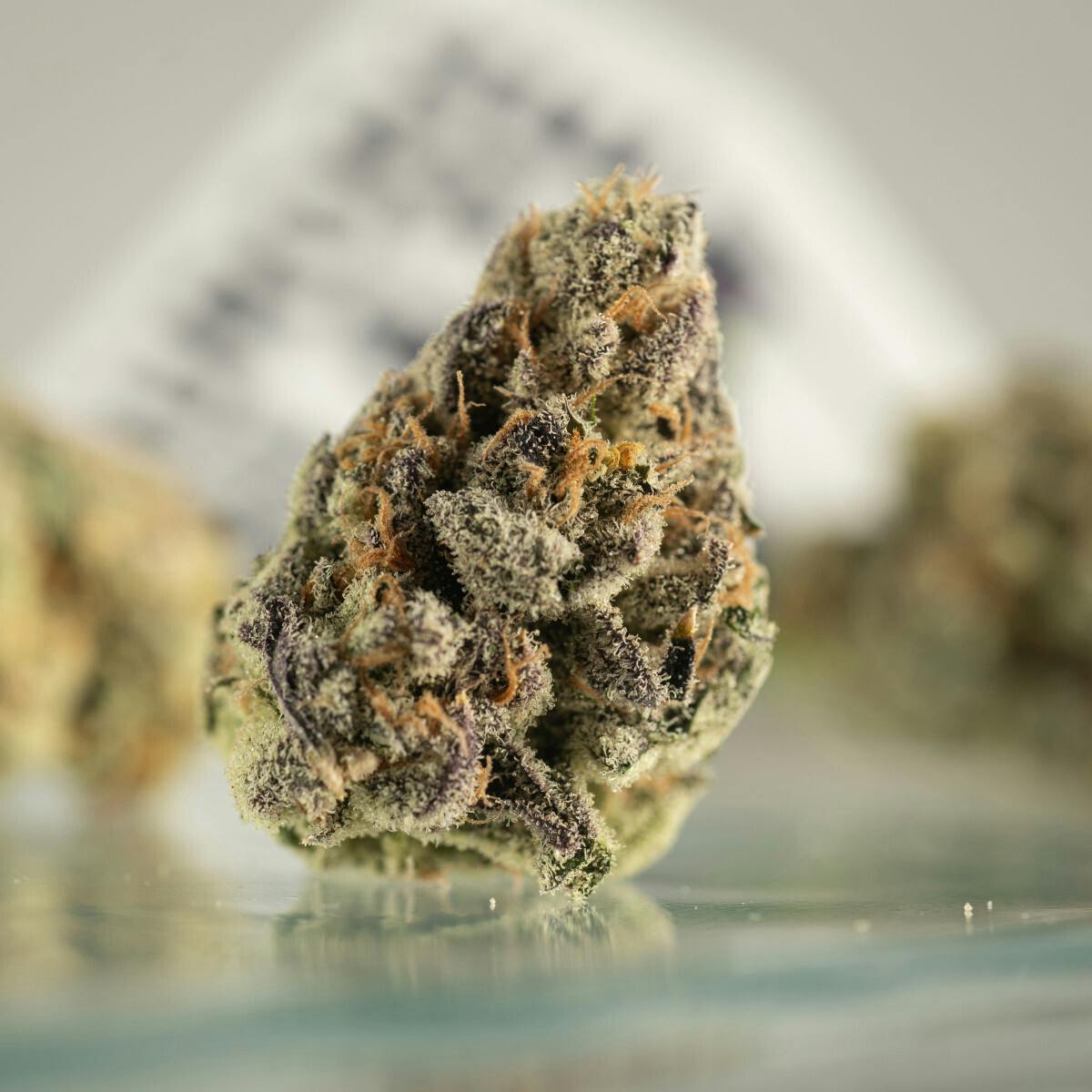 A Bud - Lilac OG