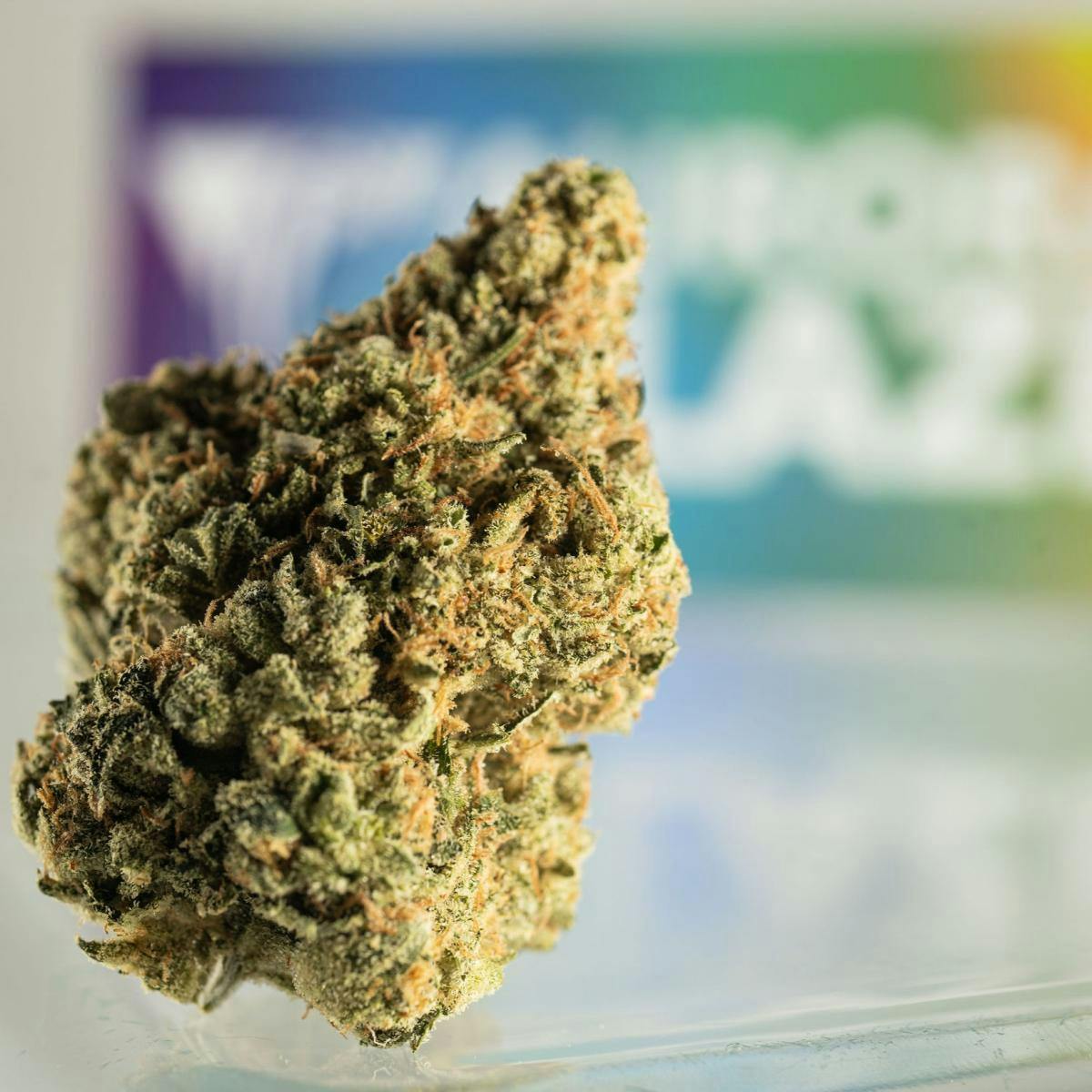 B Bud Jenny Kush