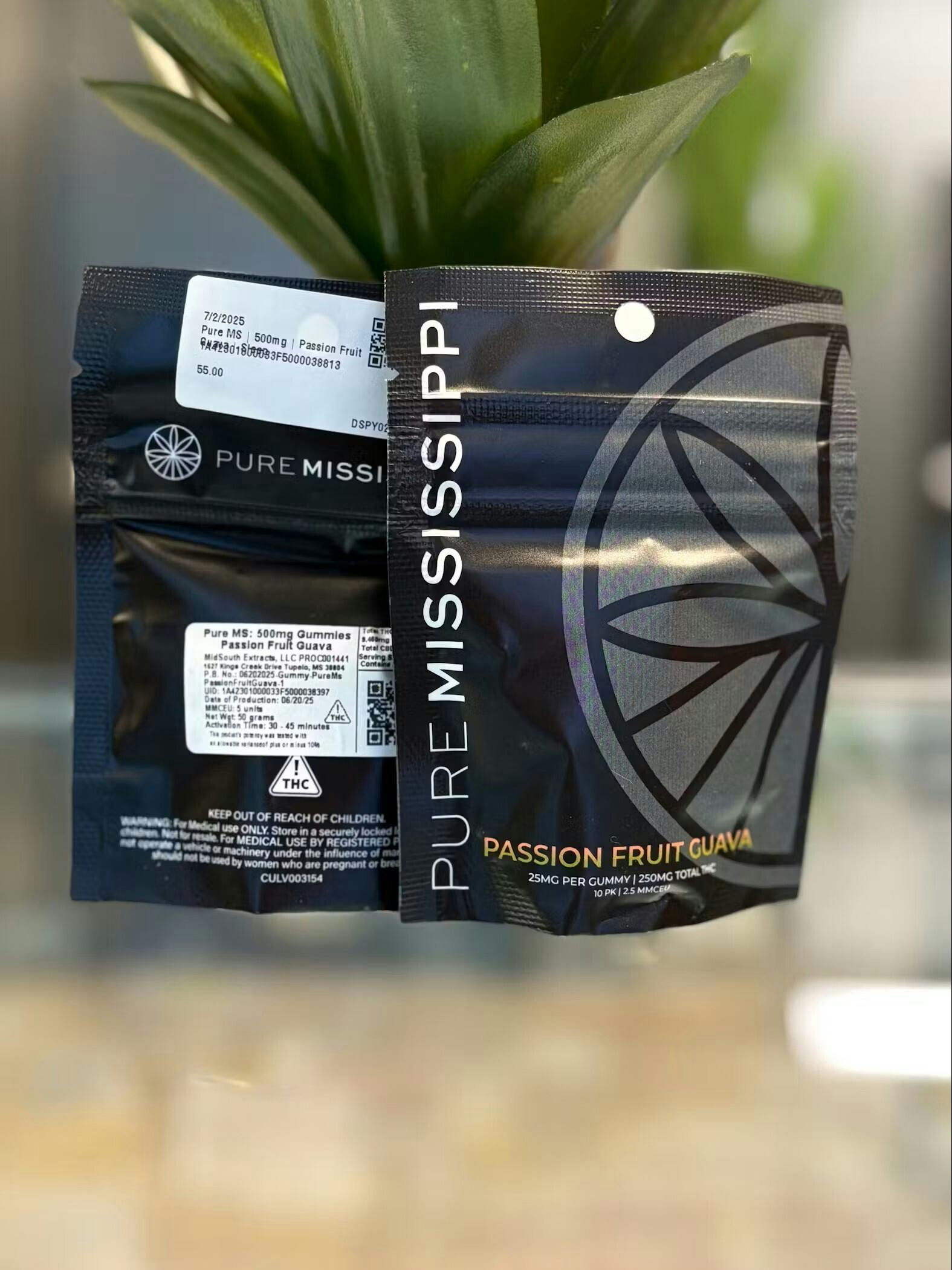 Pure MS | 500mg | Passion Fruit Guava | Sleep Gummies