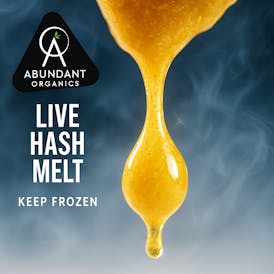 FUNKREADY | LIVE HASH MELT **KEEP FROZEN**