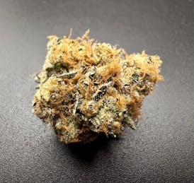 High Noon Cultivation | Flower | Neon Sunset