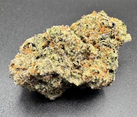 VIRTUOUS | FLOWER | SWEET AMBROSIA