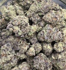 DESERT PEAKS | FLOWER | BACIO GELATO