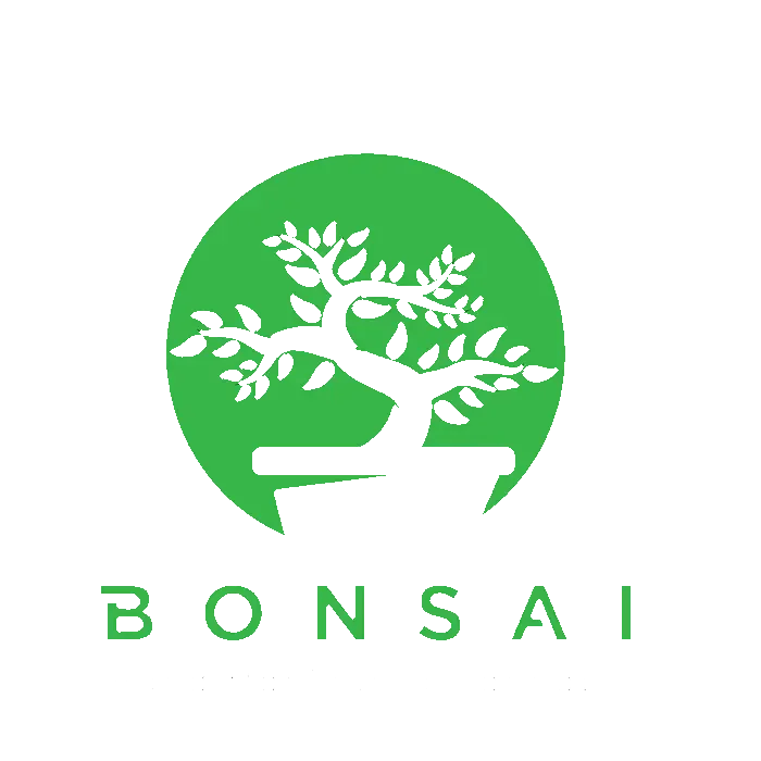 Bonsai Traditional Amaretto
