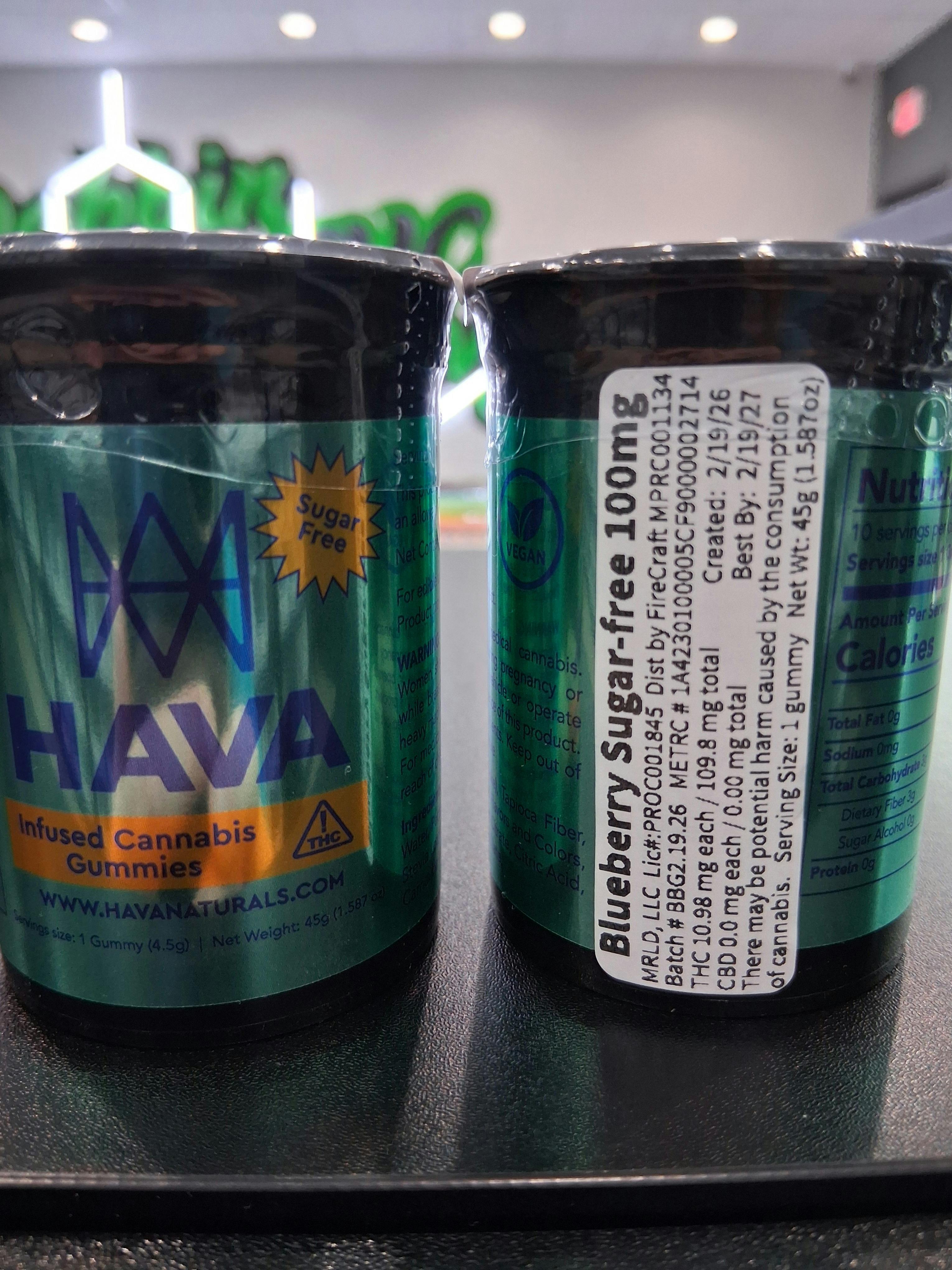 Hava | SugarFree Blueberry Gummies | 10pk by Hava Naturals