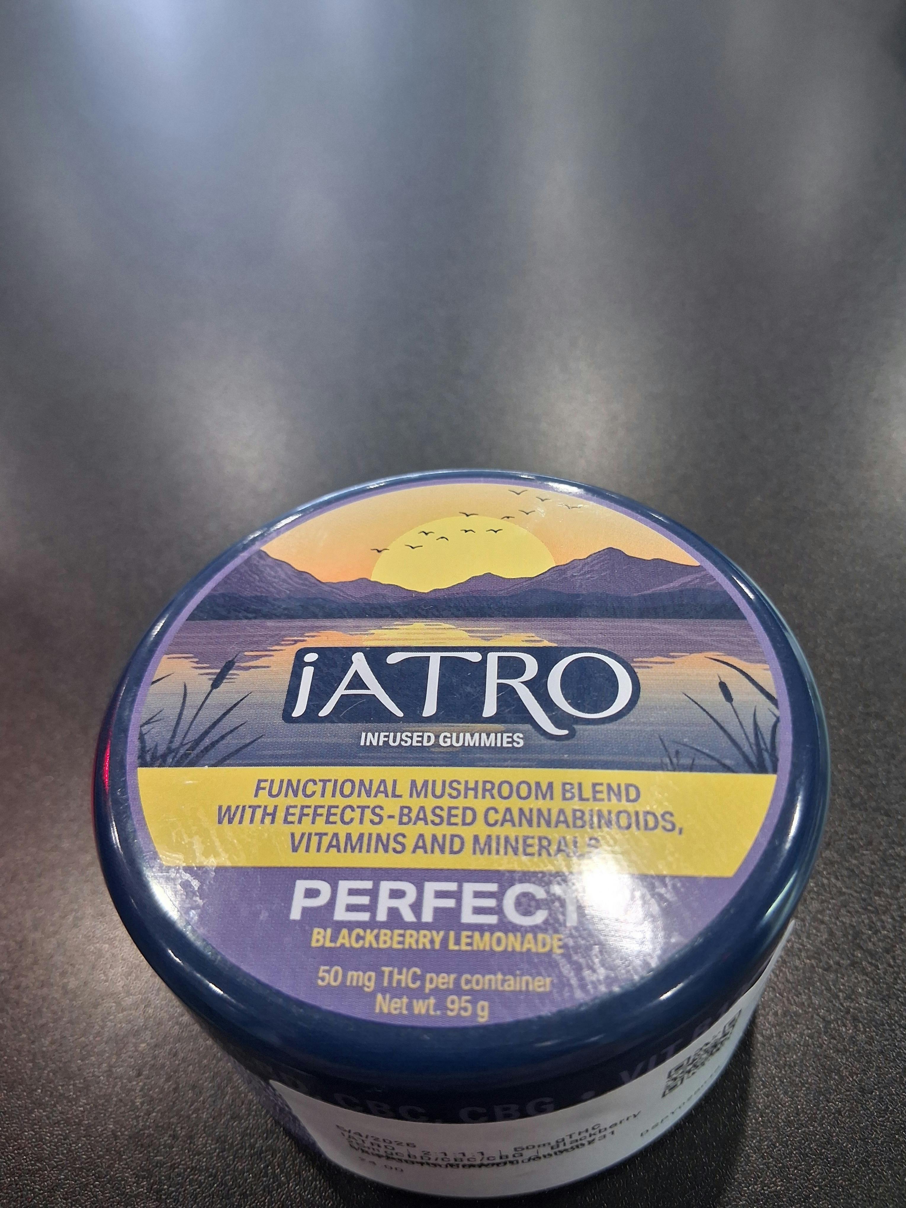 iATRO | 50mg | Perfect Blackberry Lemonade | Mushroom Blend Gummies | 20pk