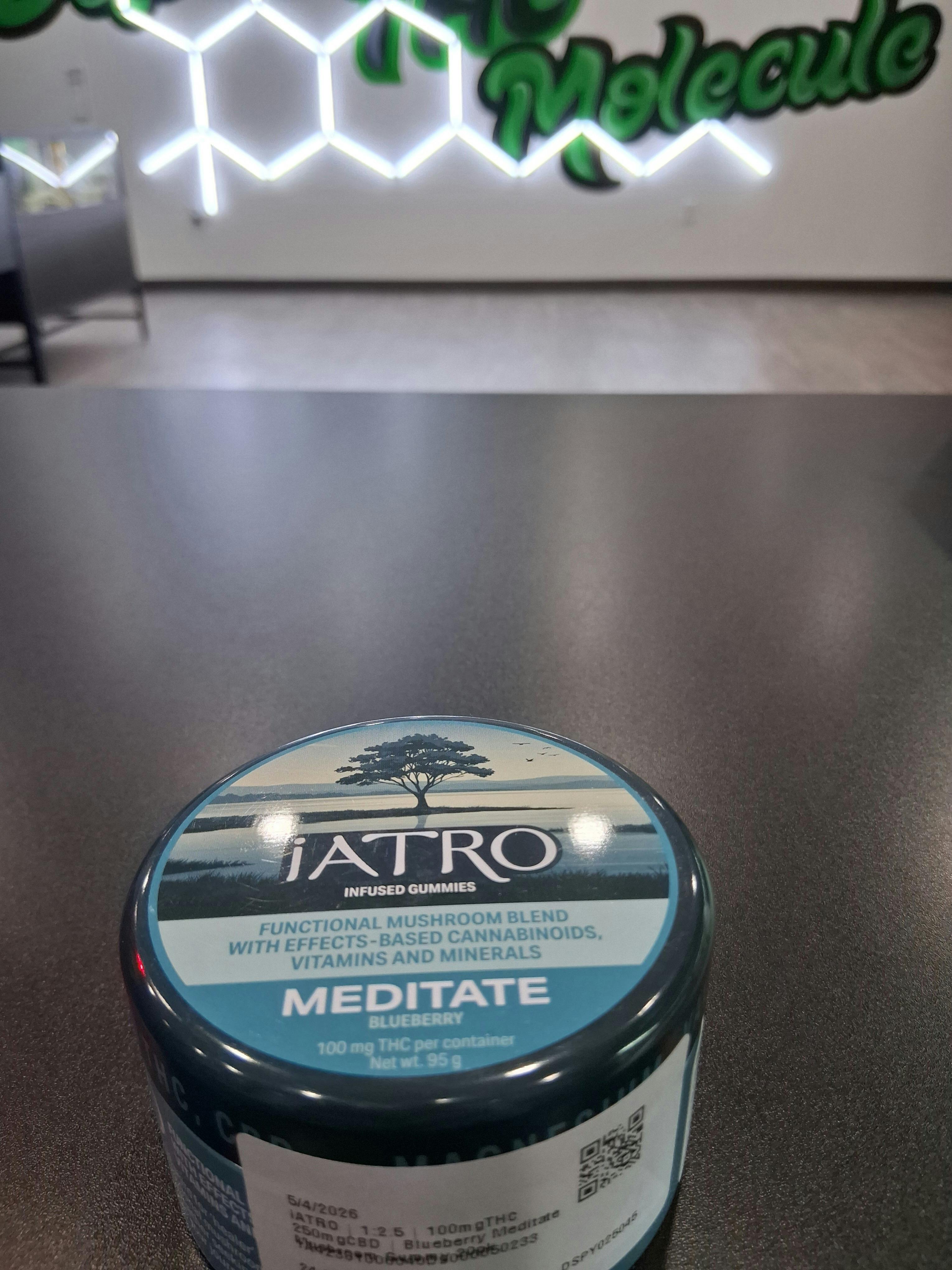 iATRO | 100mg | Meditate Blueberry | Mushroom Blend Gummies | 20pk