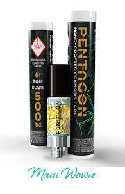 Pentagon 1000mg Cart Pegasus Piss at Cannabis World Dispensary