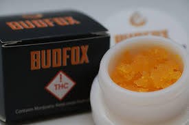 Tang 4 Grams Bucket Live Sugar/Budder Bud Fox