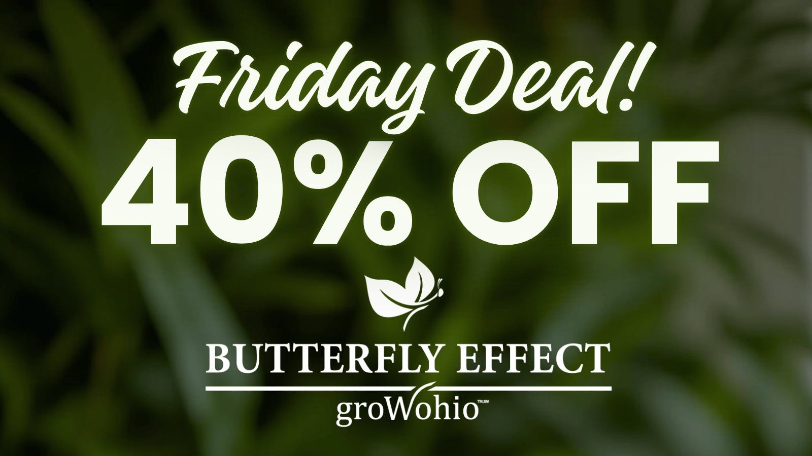 Butterfly Effect Grow Ohionull