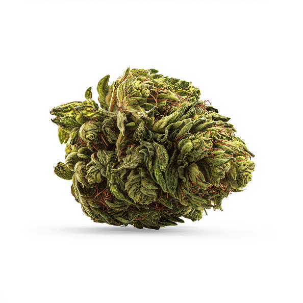 Trim LemonJeffery at Little Amsterdam