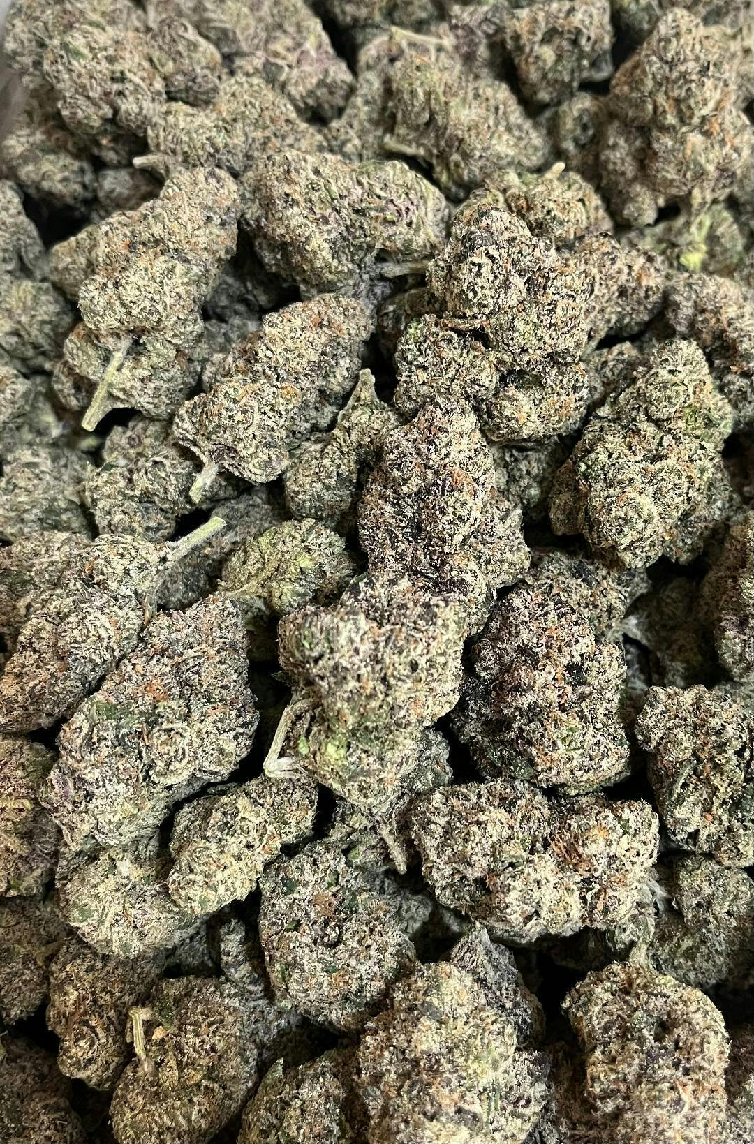 GRAPE RUNTZ | SPECIAL 14G Exotic Indoor Flower | Hybrid